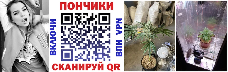 Бошки марихуана Ganja  Цимлянск 